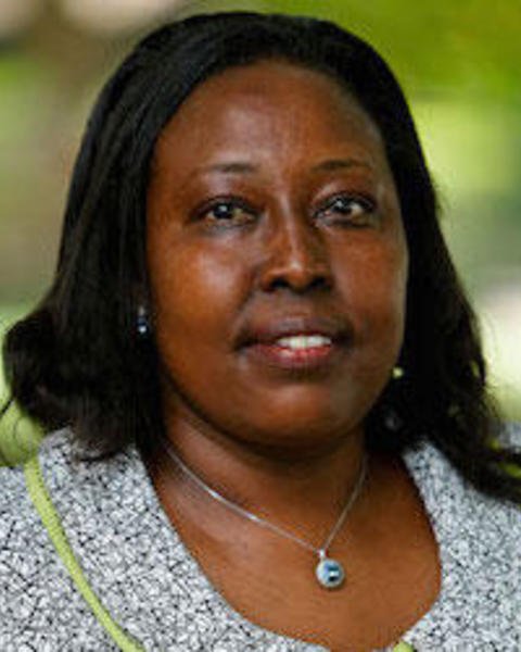 Prof. Damaris Parsitau (PhD)